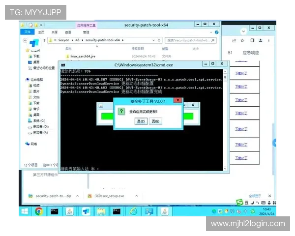 最新版本的pupg官方下载平台正式上线，用户可以安全便捷地获取游戏补丁和升级包